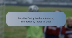 Benni McCarthy: Melhor marcador, Internacional, Títulos de clube