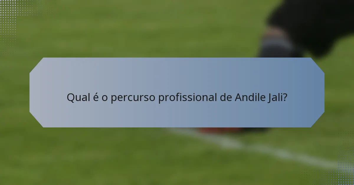 Qual é o percurso profissional de Andile Jali?